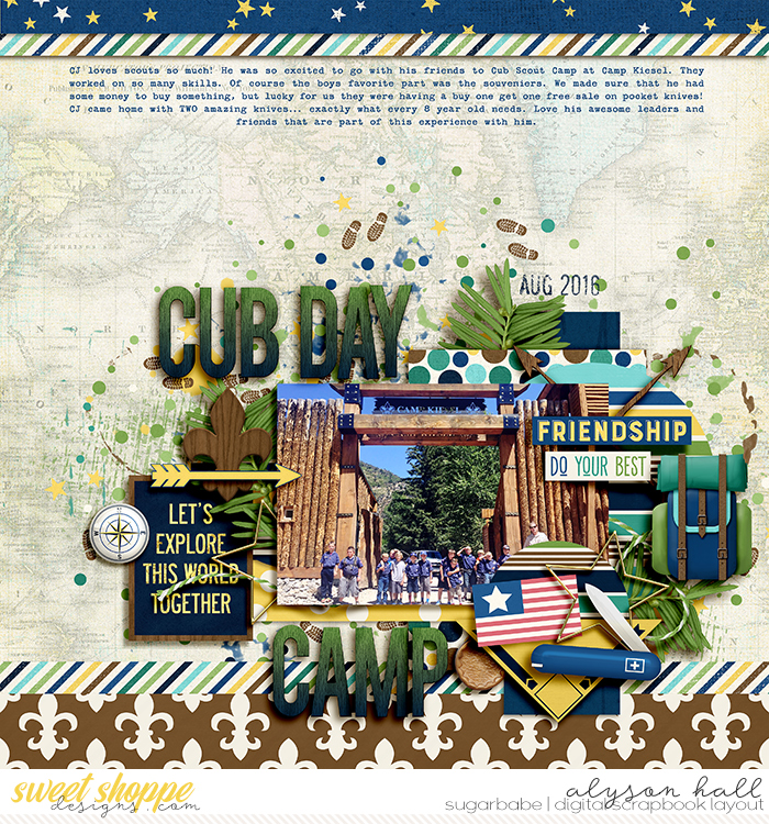 Cub Scout Camp