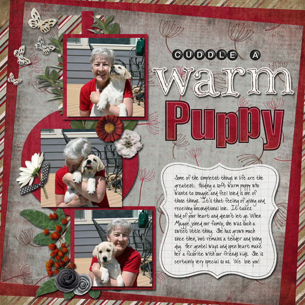 Cuddle a Warm Puppy