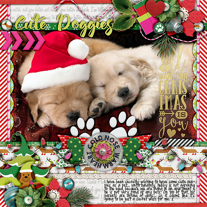 Cute doggies