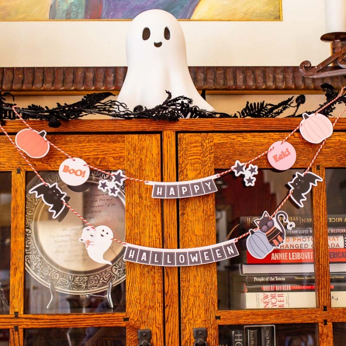 Cute Spooky garland