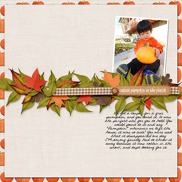 Cutest Pumpkin in the Patch