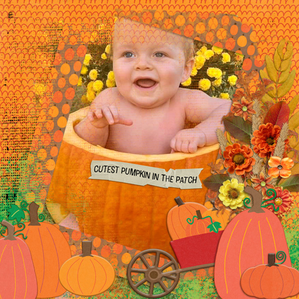 Cutest Pumpkin in the Patch