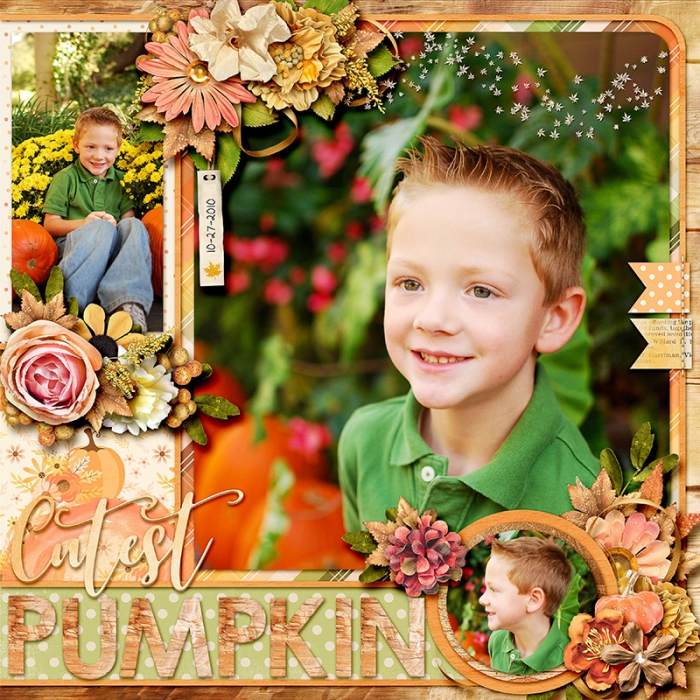 Cutest Pumpkin right