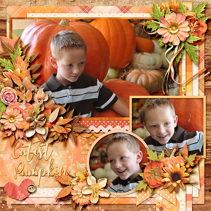 Cutest Pumpkin