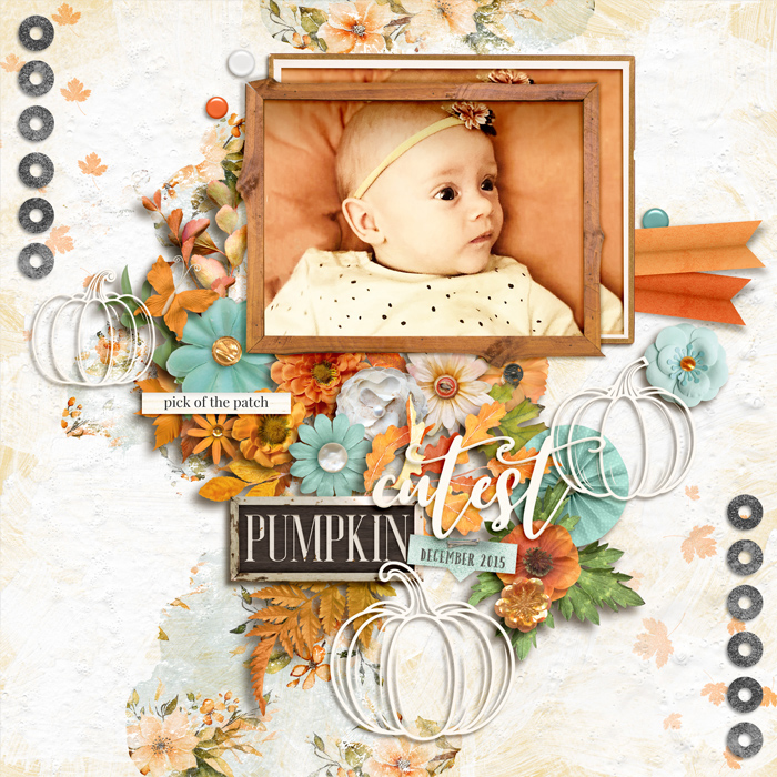 Cutest Pumpkin