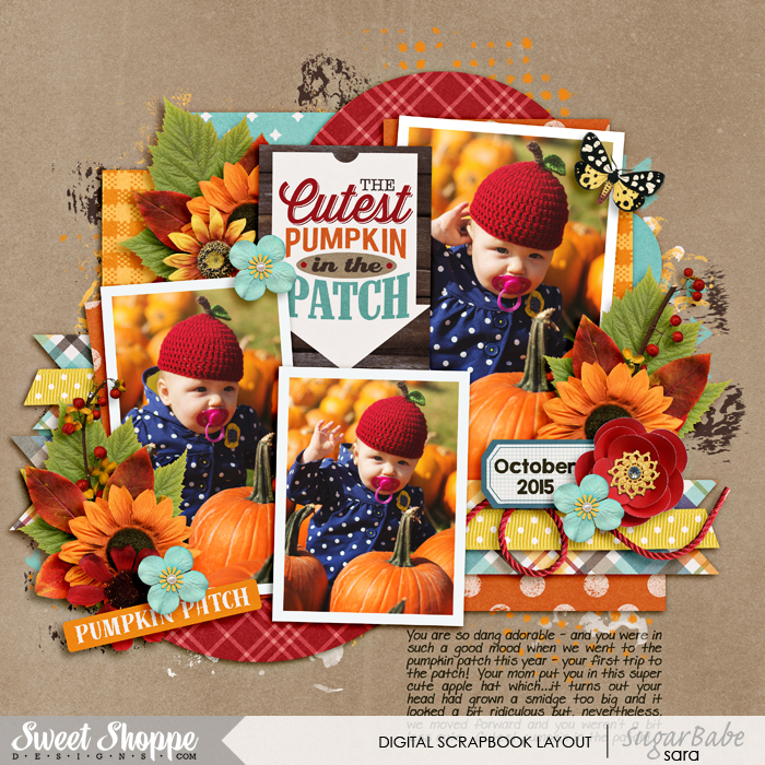 cutest-pumpkinwm