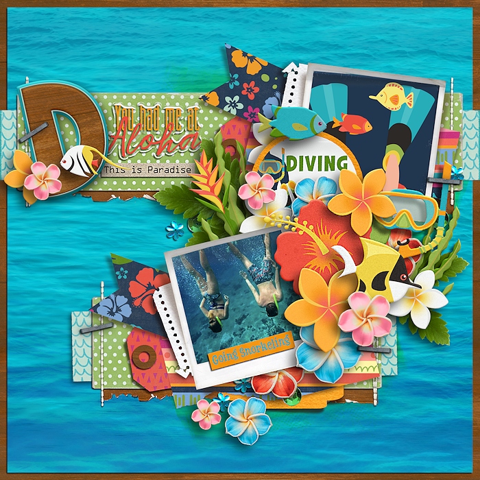 D is for Diving