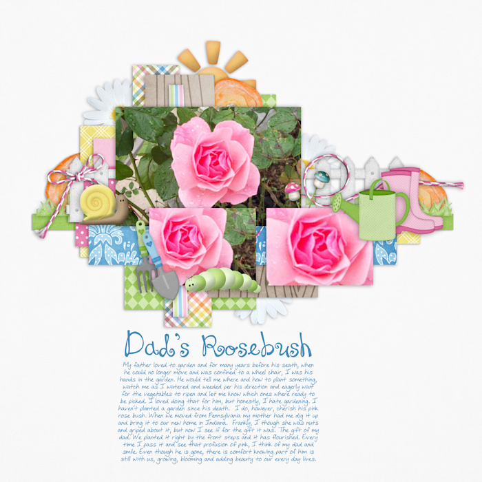 Dad's Rosebush