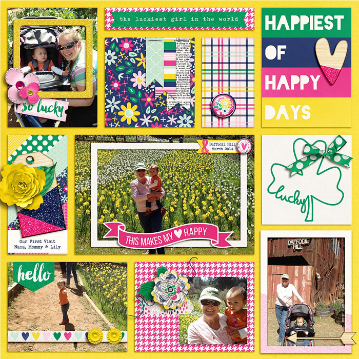 Daffodil Hill 2014