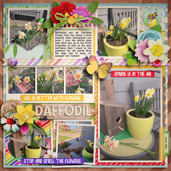 Daffodil