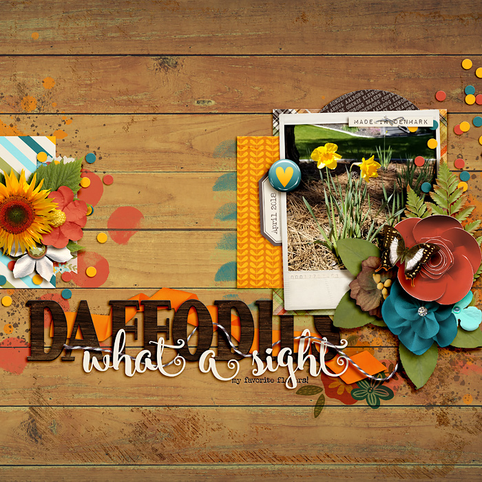 Daffodils
