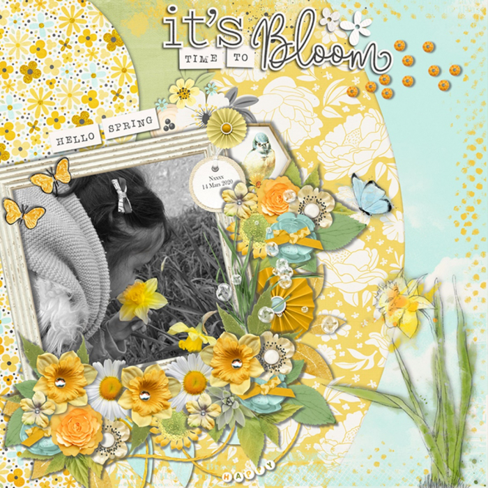 Daffodils
