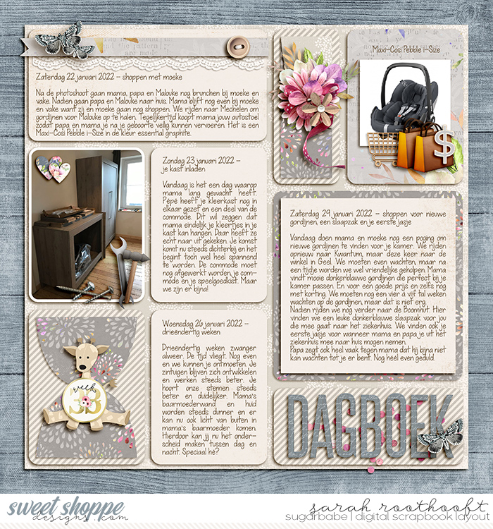 Dagboek page 42