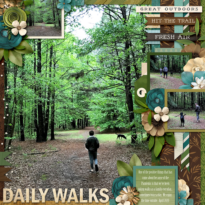 Daily Walks
