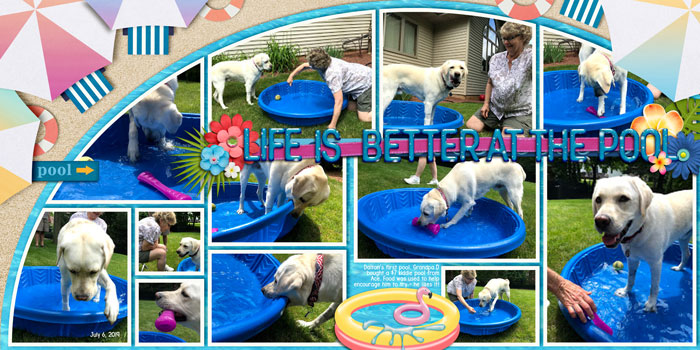 Dalton's new pool