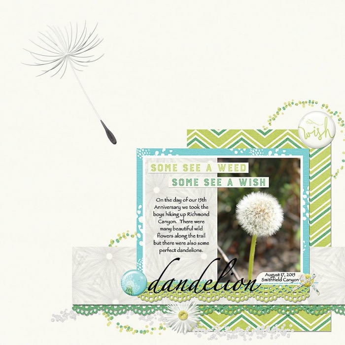 Dandelion Wishes