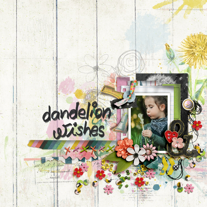 Dandelion Wishes