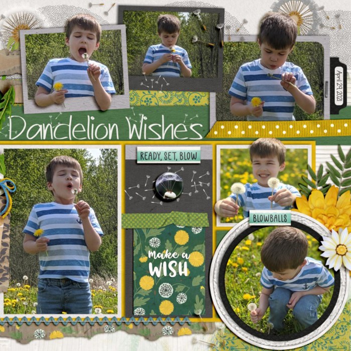 Dandelion Wishes