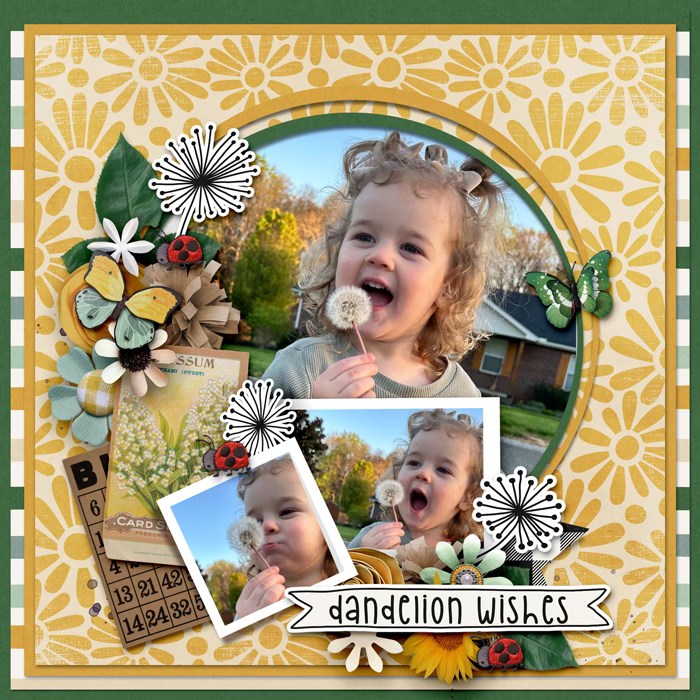 Dandelion Wishes