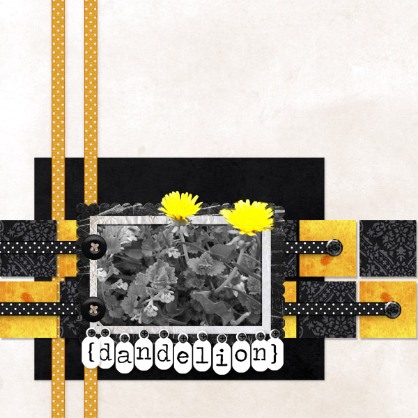Dandelions -SSD Recipe Challenge 4/30