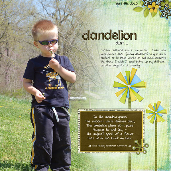 Dandelions