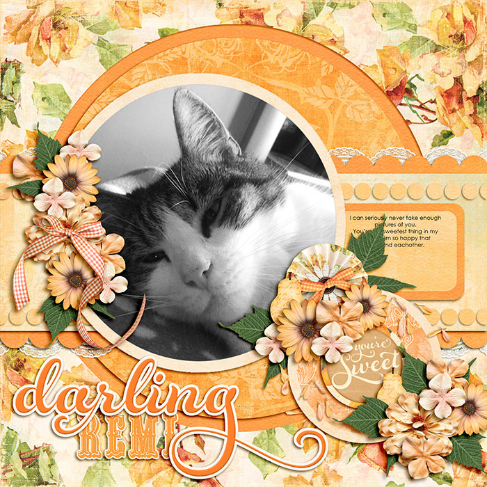 Darling Remi