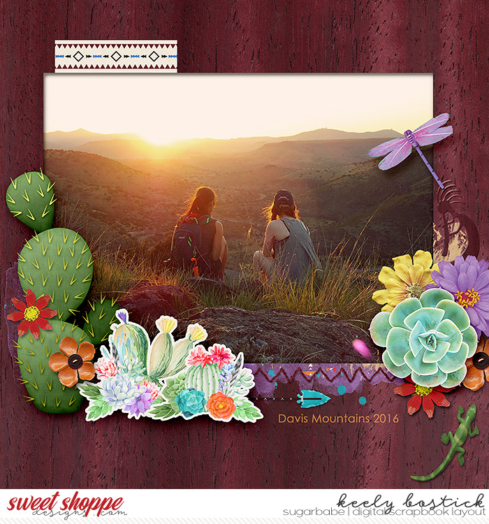 Davis Mountains
