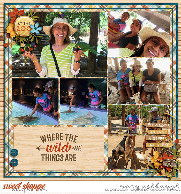 Day At Zoo