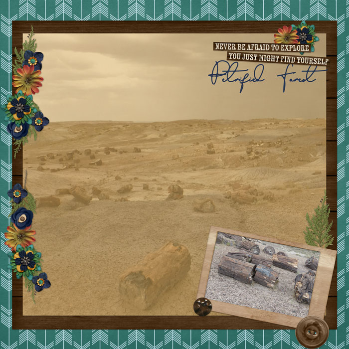 Day Three Petrified Forest Page 2
