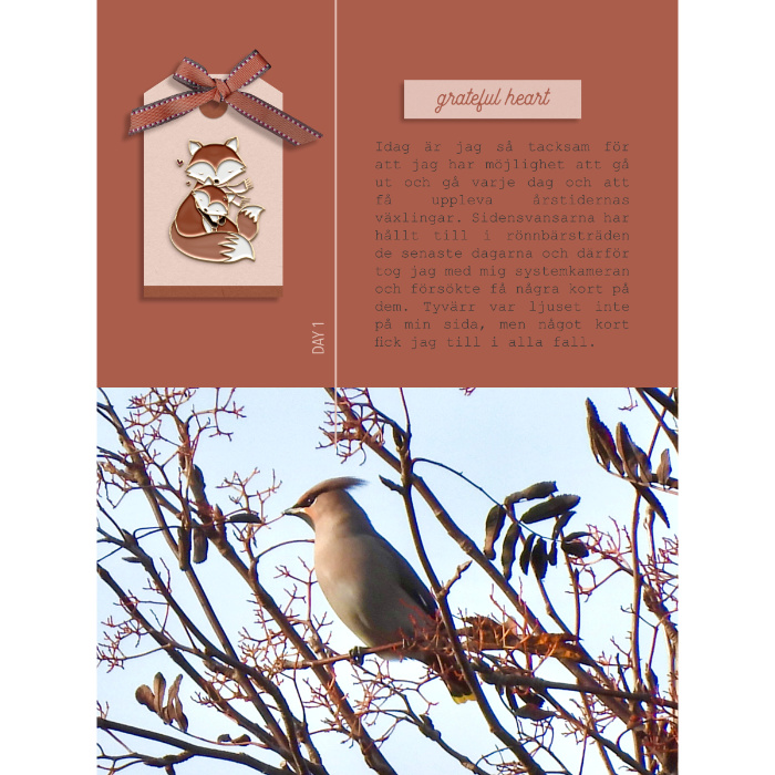 Days of Thanks 2022 - day 1