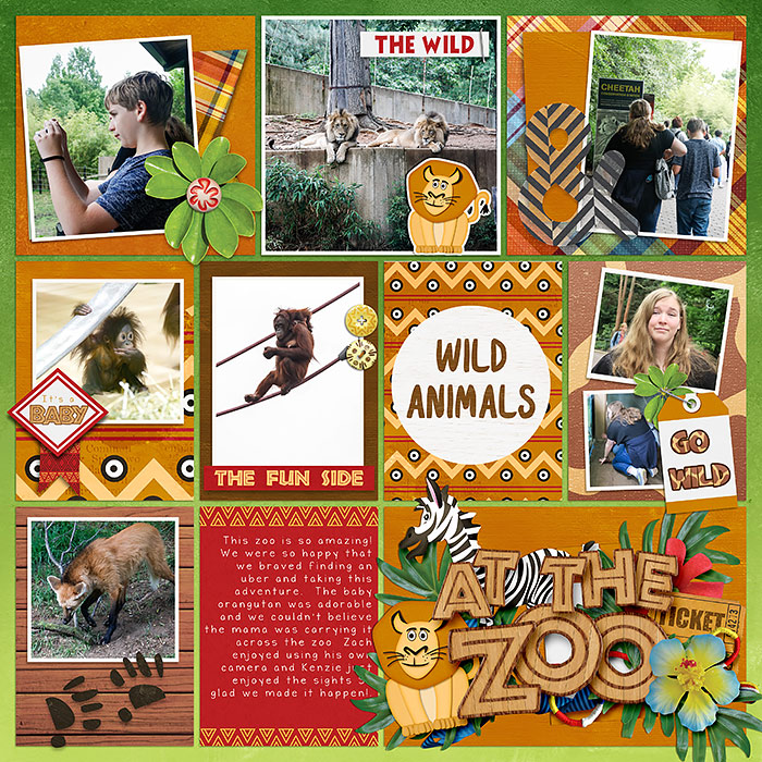 DC Zoo