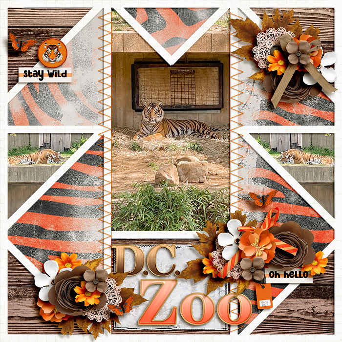DC Zoo