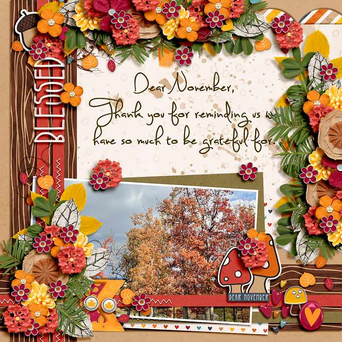 Dear November