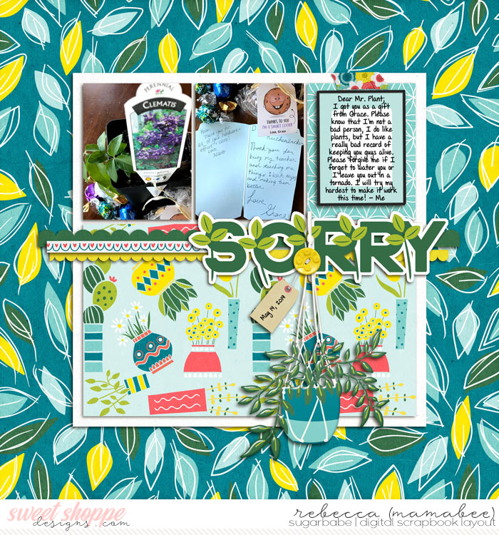 Dear Plant... I'm Sorry