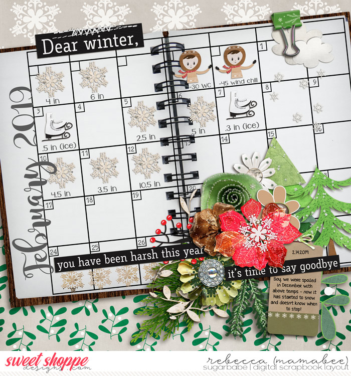 Dear Winter we are done