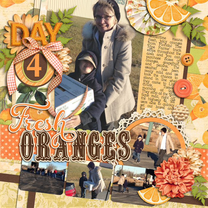 Dec Daily 2012 - day 4 oranges