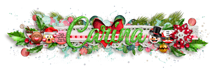 December-20 siggy