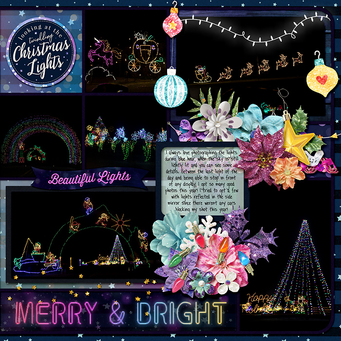 December 2025 - Holiday Fantasy of Lights - right