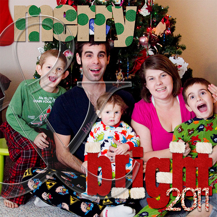 December Daily 2011 Cover