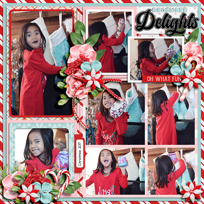 December Delights