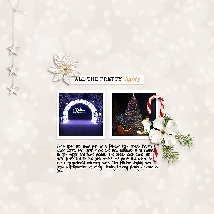 December Passport Challenge 7-Photography : Holiday Lights