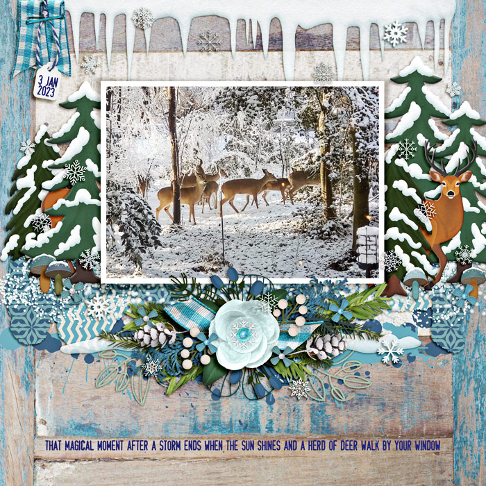 Deer in Winter