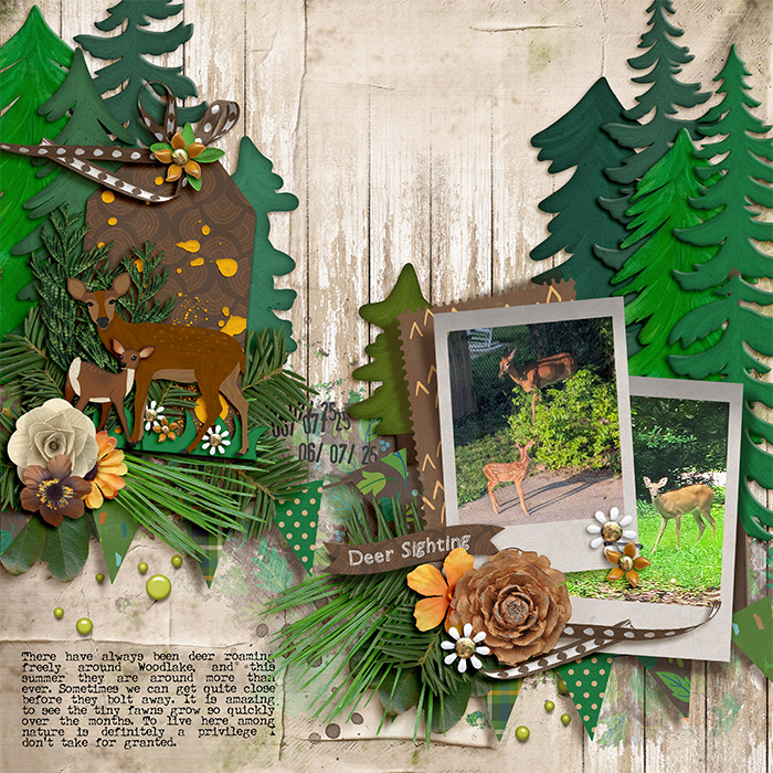Deer Sighting | SAT Week 4 Pisa