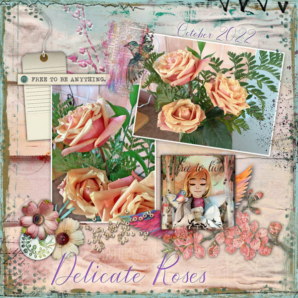 Delicate Roses