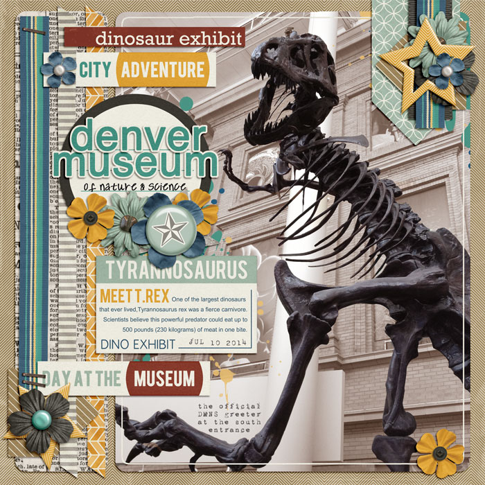 Denver Museum
