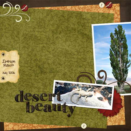 desert beauty