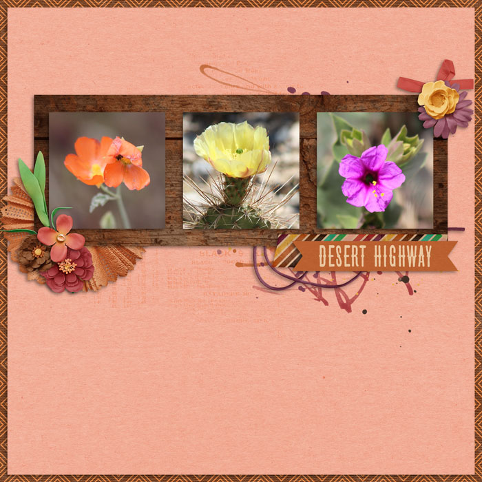 Desert Road