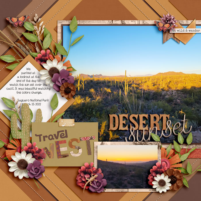 Desert Sunset