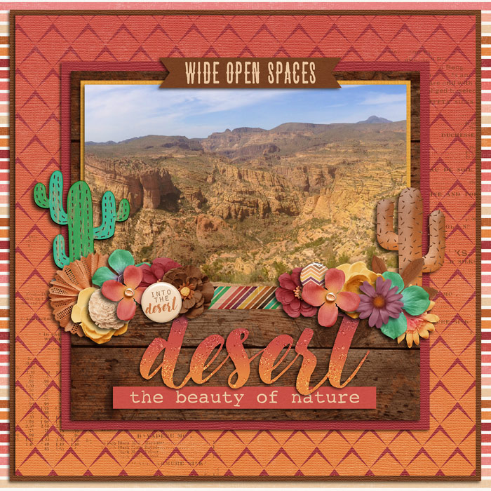 Desert