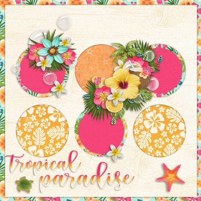 Destination Paradise